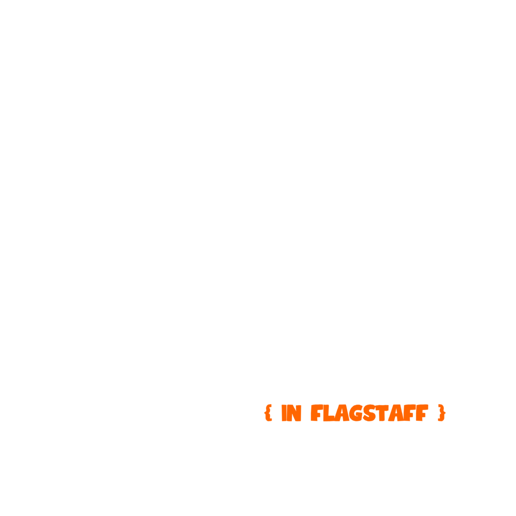 play disc in flagstaff logo