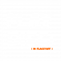 play disc in flagstaff logo