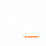 play disc in flagstaff logo
