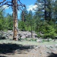 Thorpe Park Disc Golf Course - Flagstaff, Arizona